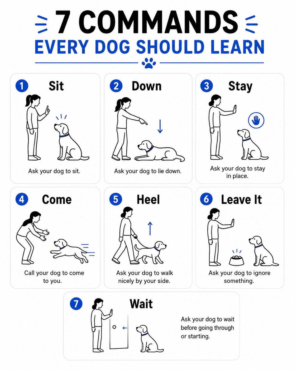 Simple diagram of 7 commands every dog should learn, from sit through wait