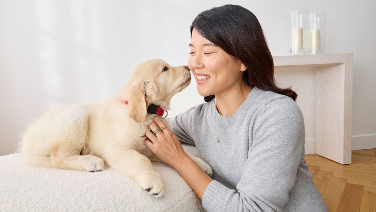 Owner bonding gently with puppy