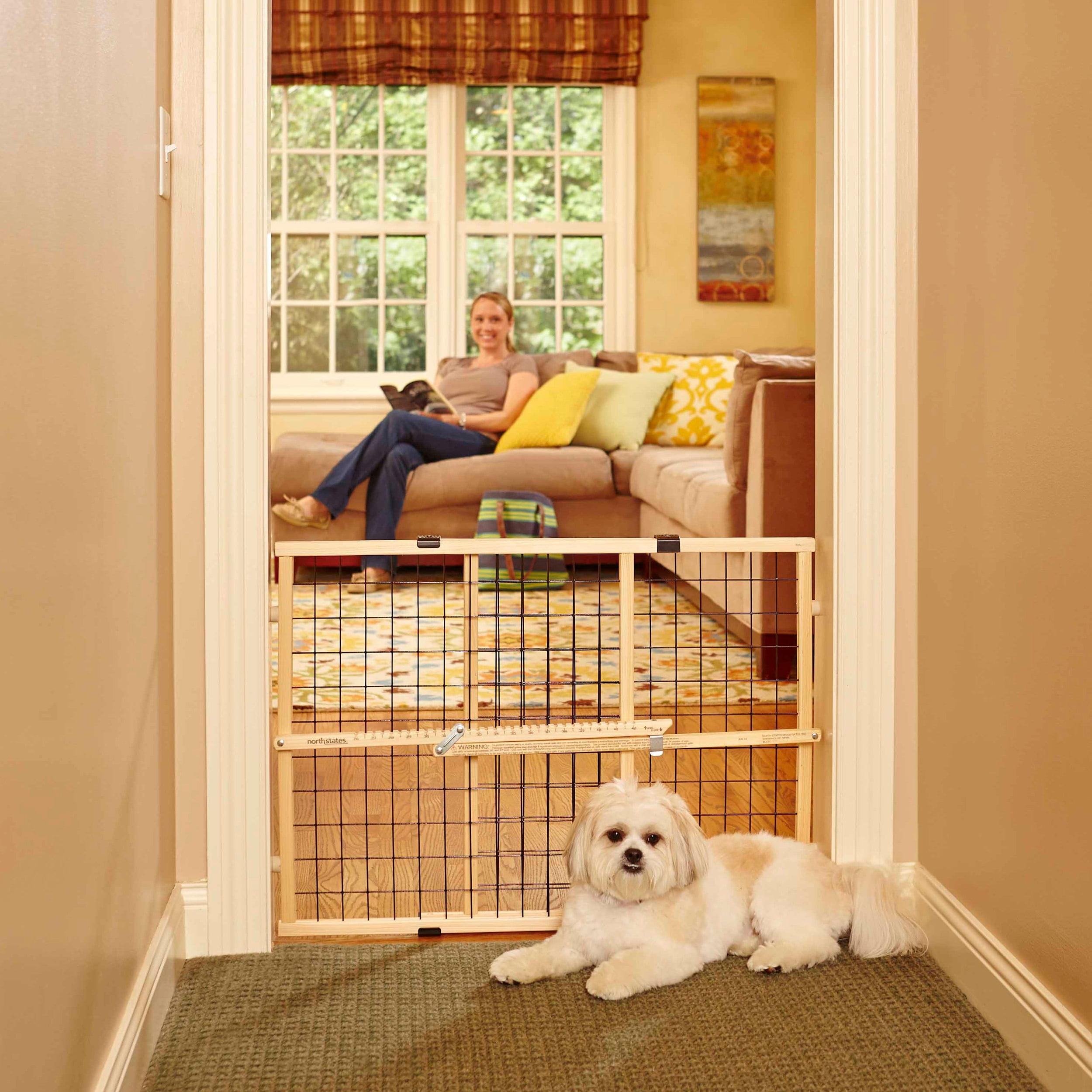 Dog relaxing while guests visit home