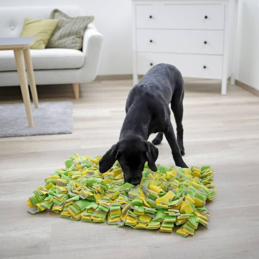 Dog sniffing DIY snuffle mat
