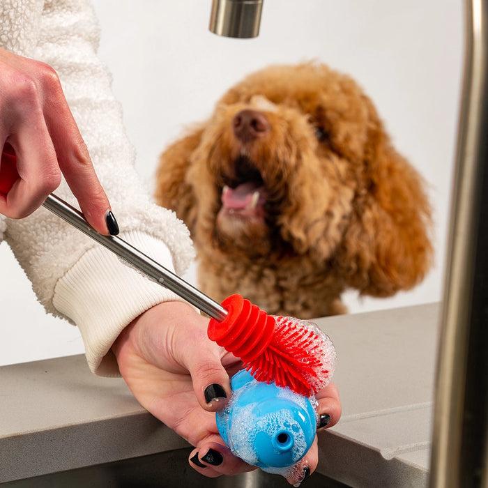 Puppy with clean organized toys