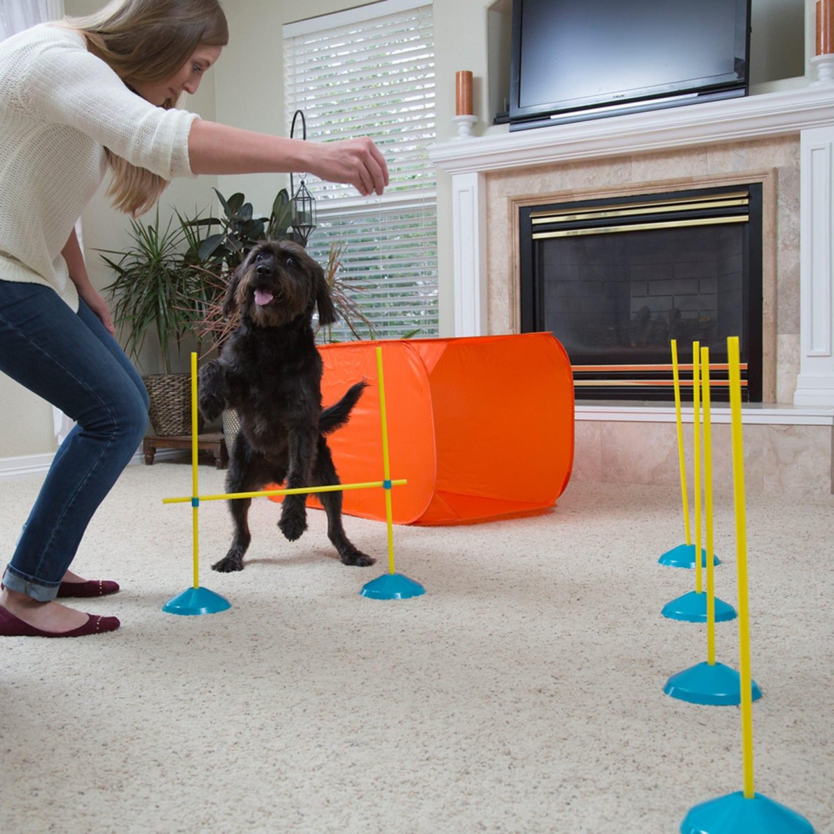 Dog home obstacle course