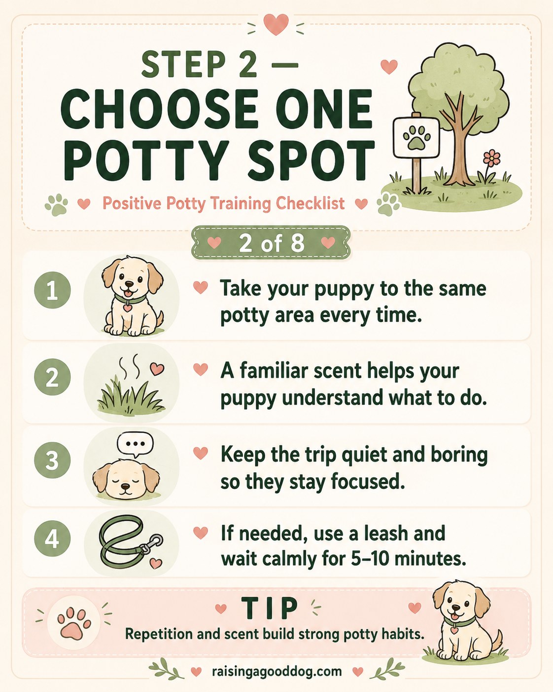 Step two of the checklist showing a puppy on leash visiting the same designated potty spot outdoors.