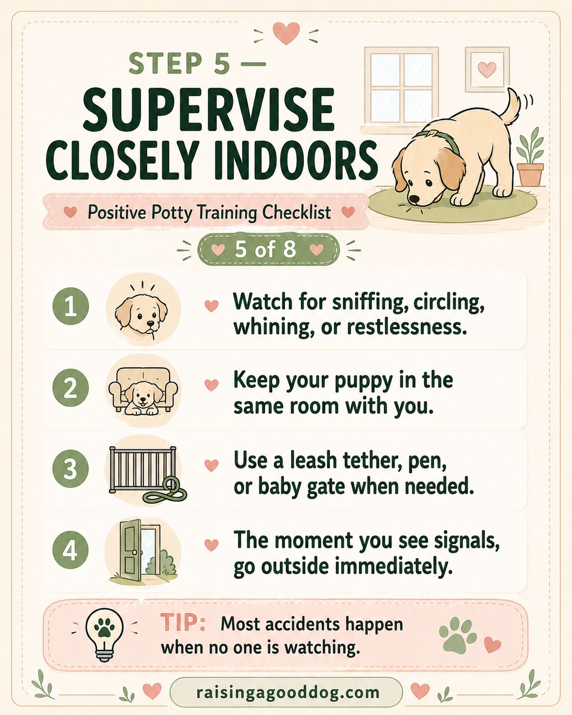 Step five illustrates supervising a puppy indoors and watching for sniffing and circling signals.