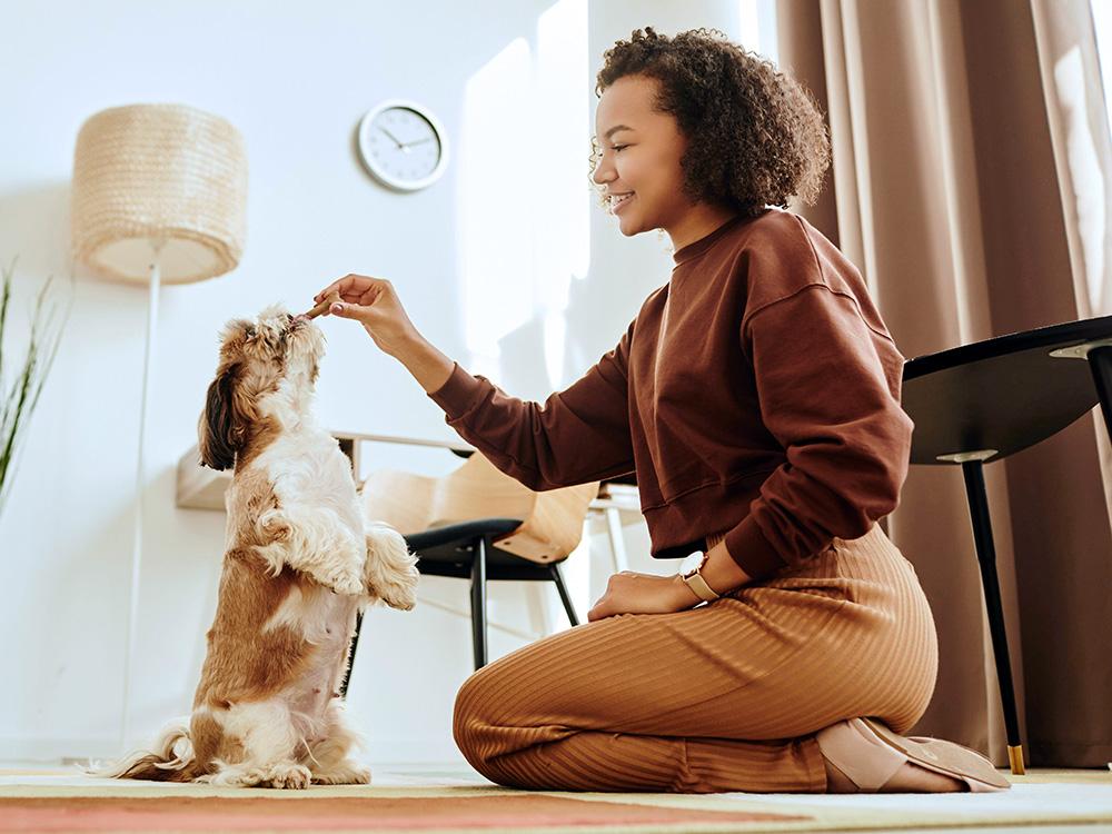 Owner training reactive dog indoors
