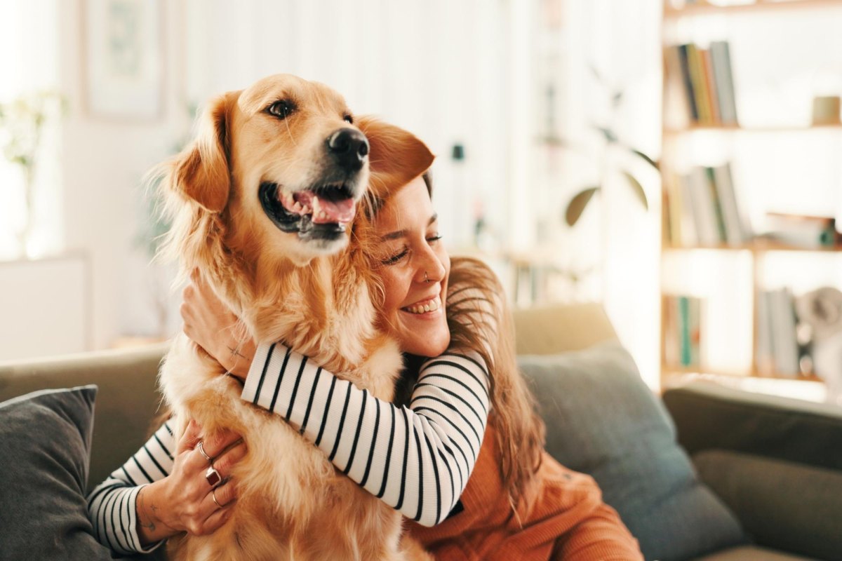 Gentle dog hug with relaxed owner