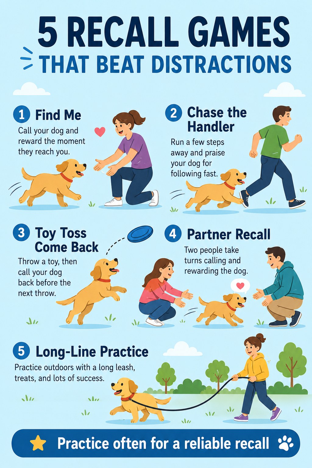 Five recall games including partner recall and long-line practice designed to beat outdoor distractions