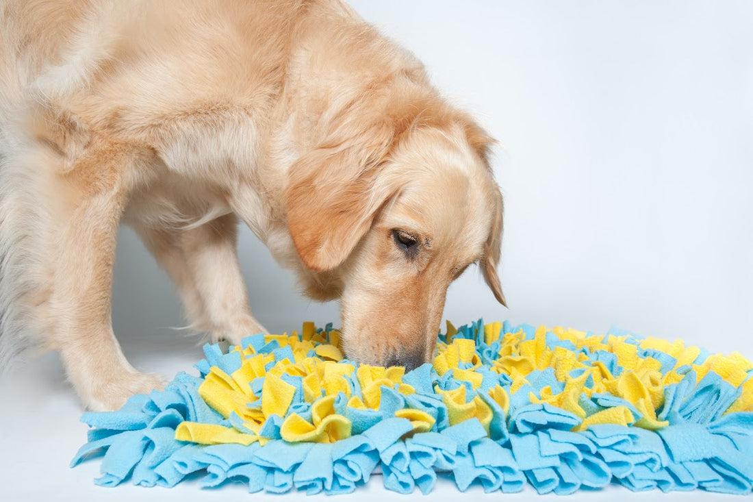 Dog sniffing snuffle mat