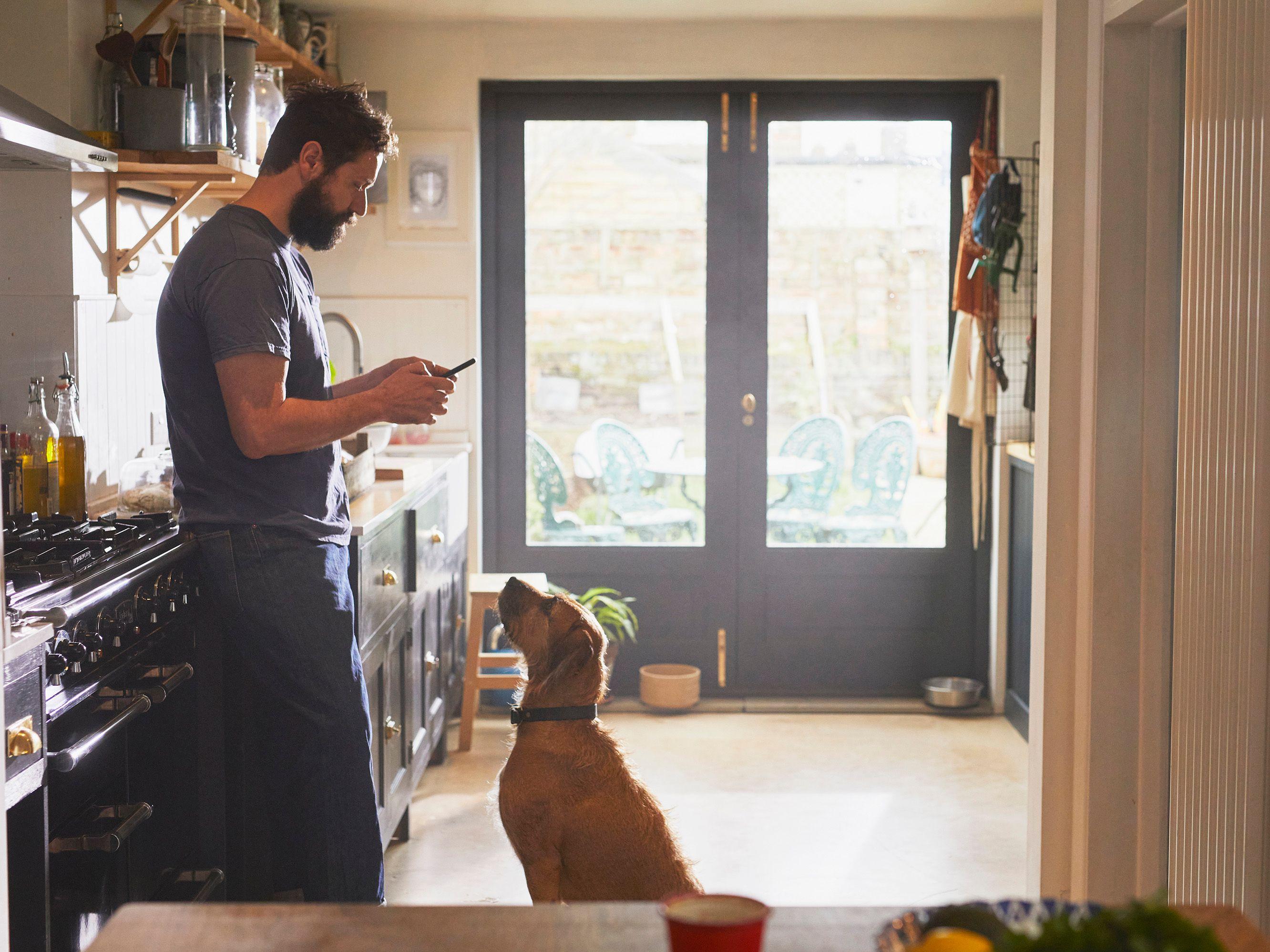 Owner following calm routine with reactive dog